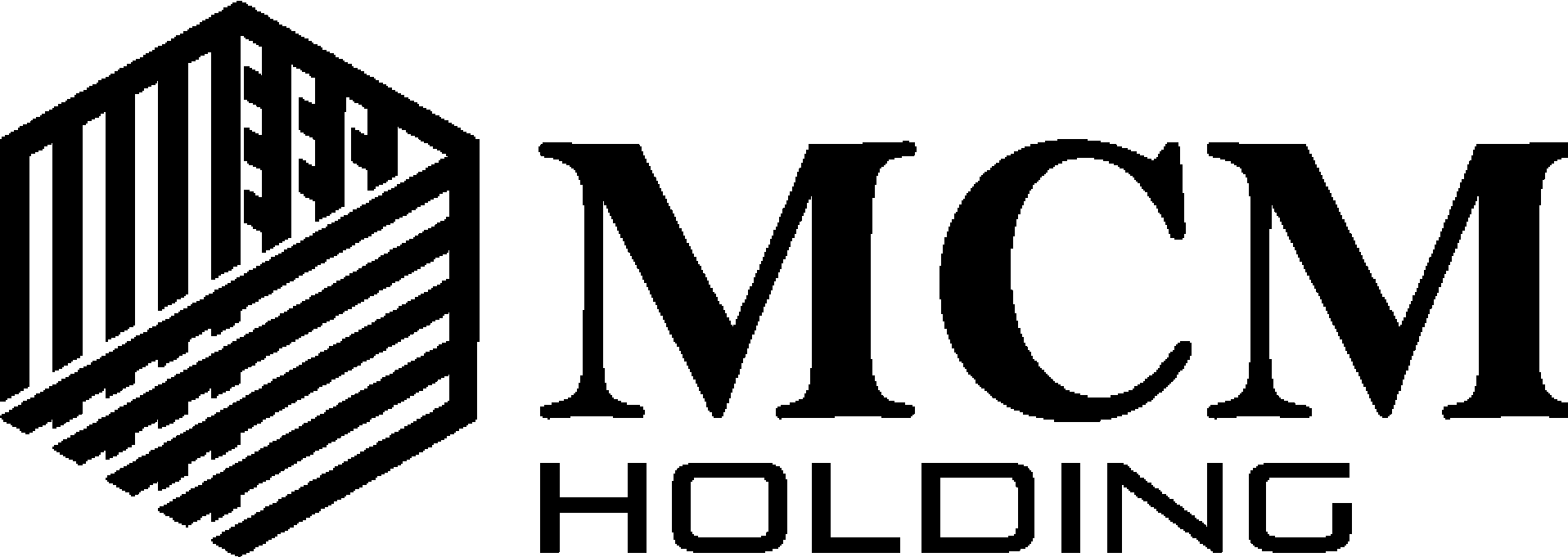 Logo MCM Holding